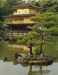 Haiku; Japanese; Poetry; Poem; Writer;
